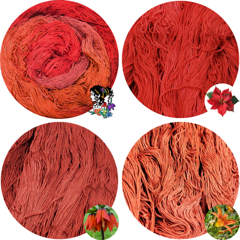 Achilles (Iris Collection) Flower Silk Set (1 Variegated, 3 Semi-Solids)