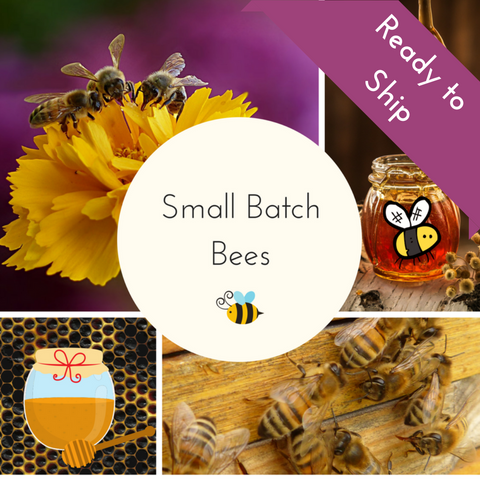 2025 Bees Small Batch Countdown Box - Complete Payment
