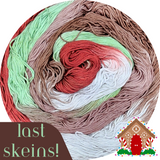 ** Last Skeins ** Gingerbread House - Flower Silk Special Edition Colorway