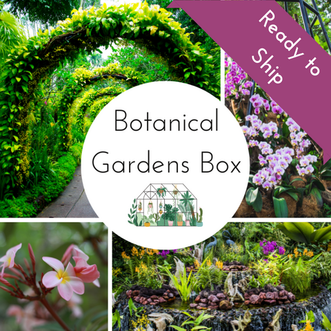 2024 Botanical Gardens Countdown Box - Complete Payment