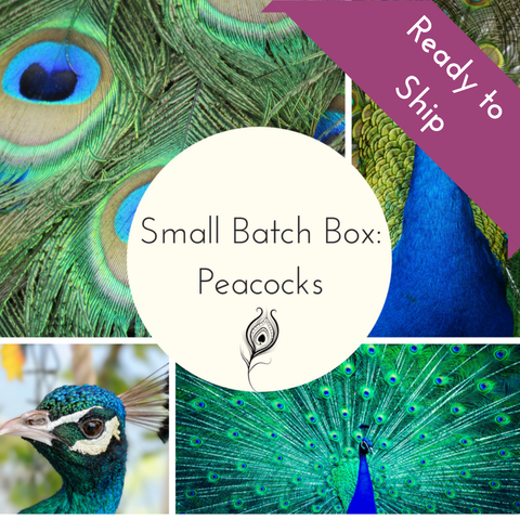 2025 Peacocks Small Batch Countdown Box - Complete Payment