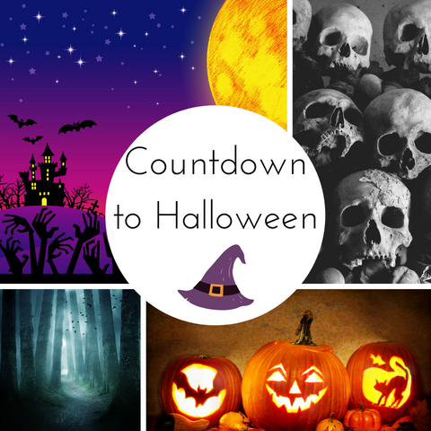 Countdown to Halloween 2025 Box - Complete Payment