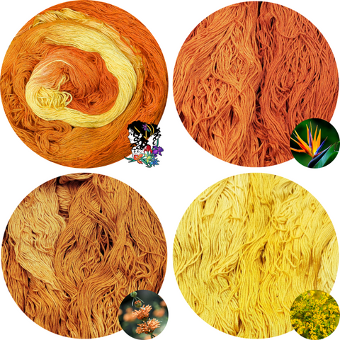Icarus (Iris Collection) Flower Silk Set (1 Variegated, 3 Semi-Solids)