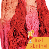 **Last Skeins** Tequila Sunrise - Flower Silk Special Edition Colorway