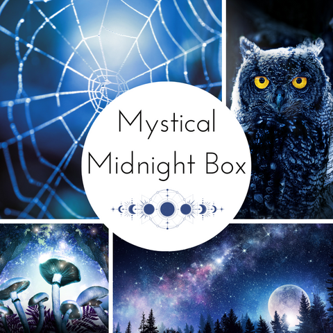 2024 Mystical Midnight Countdown Box - Complete Payment