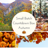 Autumn Harvest 2025 Countdown Box - Complete Payment
