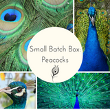2025 Peacocks Small Batch Countdown Box - Complete Payment