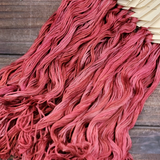 ** Last Skeins ** Spiked Punch (StitchyBox Exclusive) - Gentle Arts Limited Edition Cotton Floss