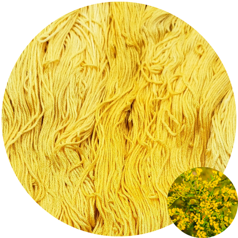 Goldenrod - Flower Silk by StitchyBox (Standard Colorway)