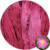 Wild Rose - Flower Silk by StitchyBox (Standard Colorway)