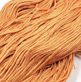 ** Last Skeins ** Pumpkin Spice - 8 yard skein - StitchySilk French Spun Silk - Limited Edition